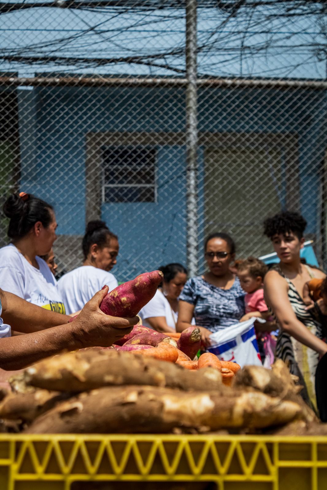 Workshop de educação nutricional com alimentos frescos